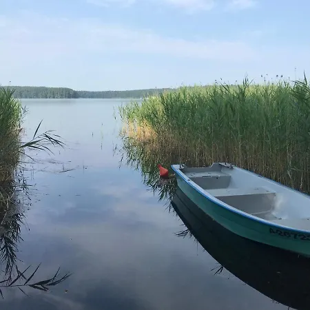 Mazur 84 * Szyldak